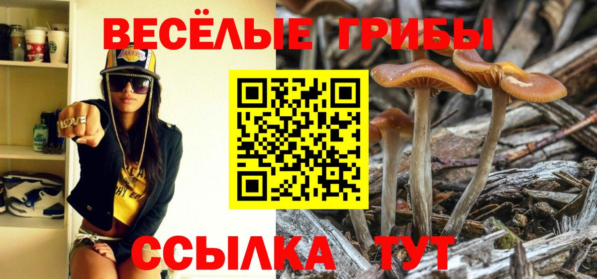 Псилоцибиновые грибы GOLDEN TEACHER  Вход с VPN  цена наркотик  Ишим 