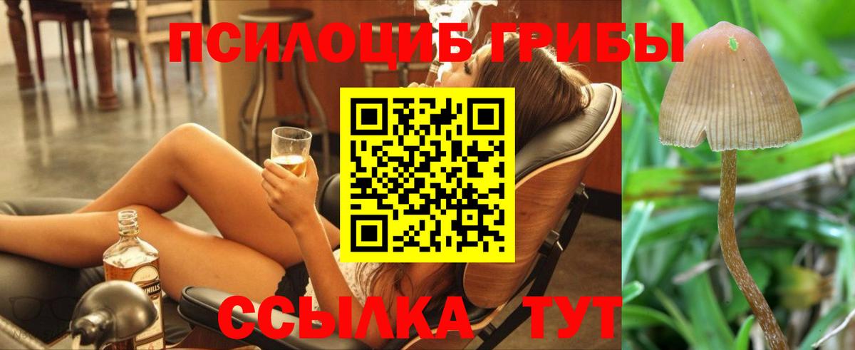 Псилоцибиновые грибы мицелий Ишим